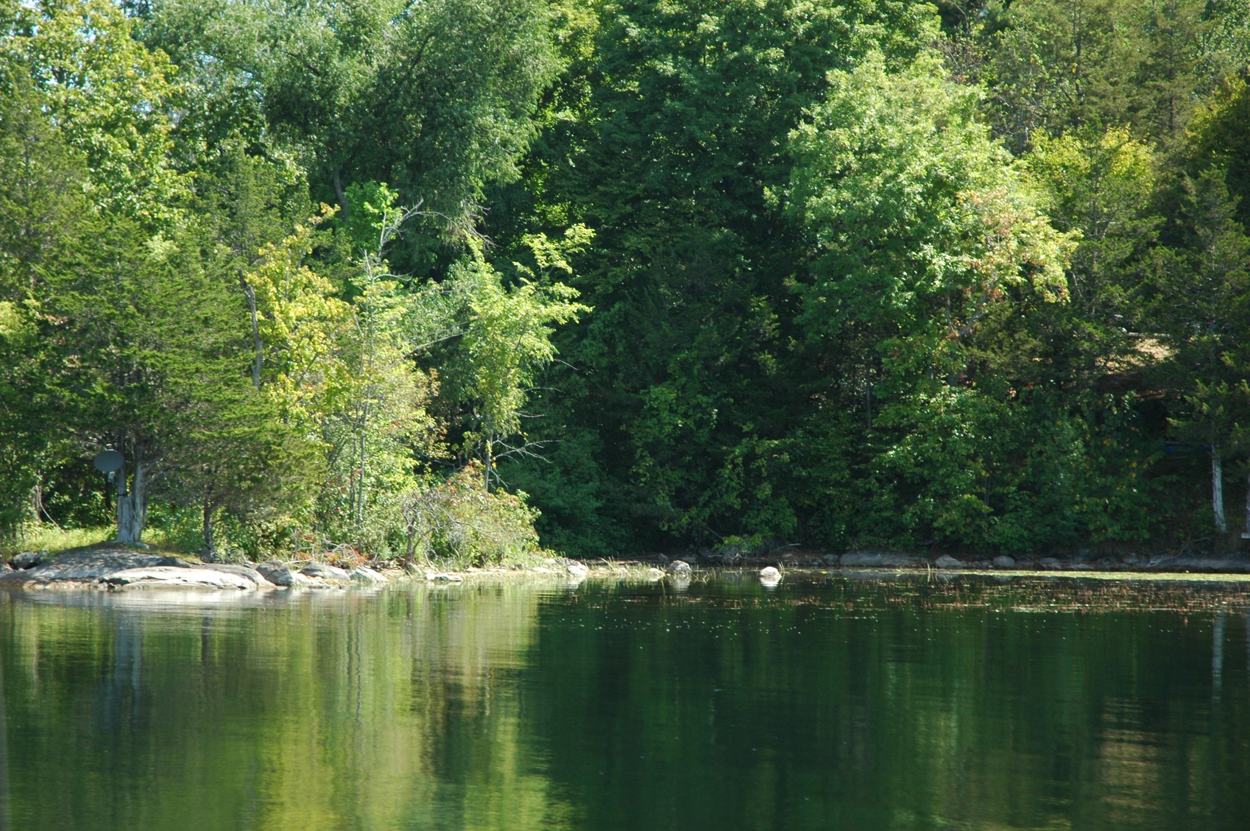 Lakeshore