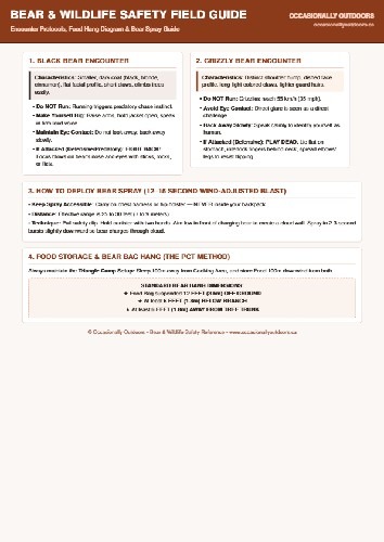 Free Printable Bear Safety Guide