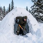 Winter camper using a shovel to excavate a quinzhee snow shelter dome with guide sticks inserted into the walls